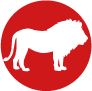 Lion graphic Africa