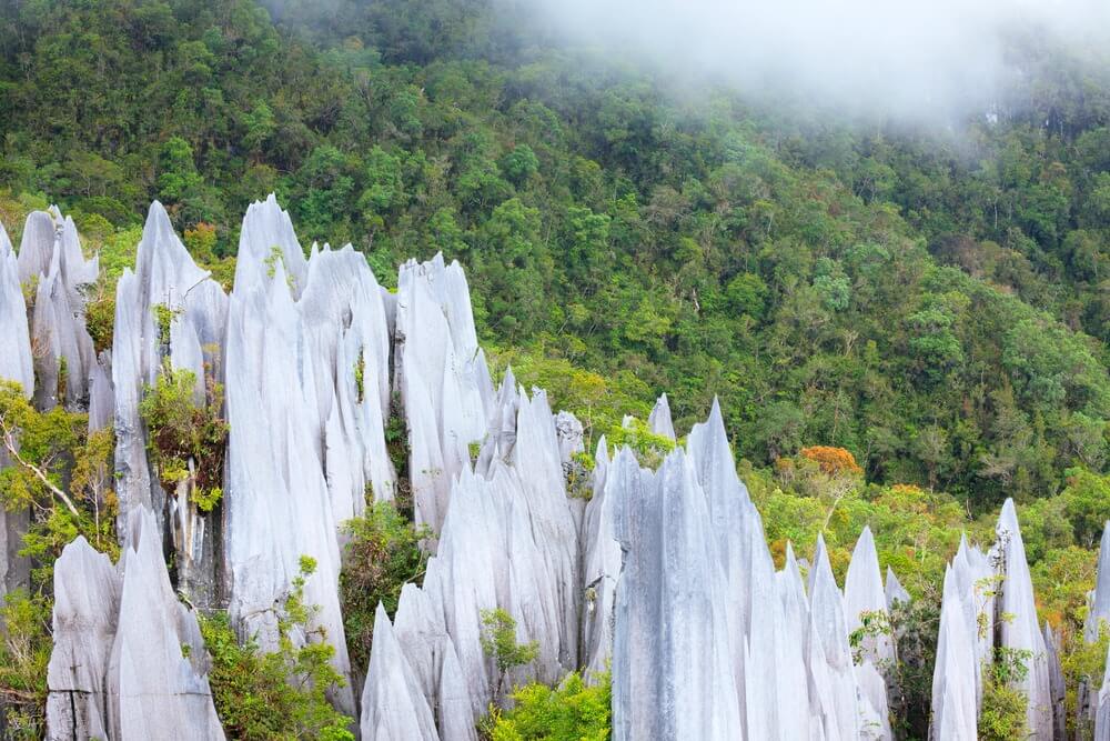 Limestone pinnacles, Mulu National Park, Borneo
