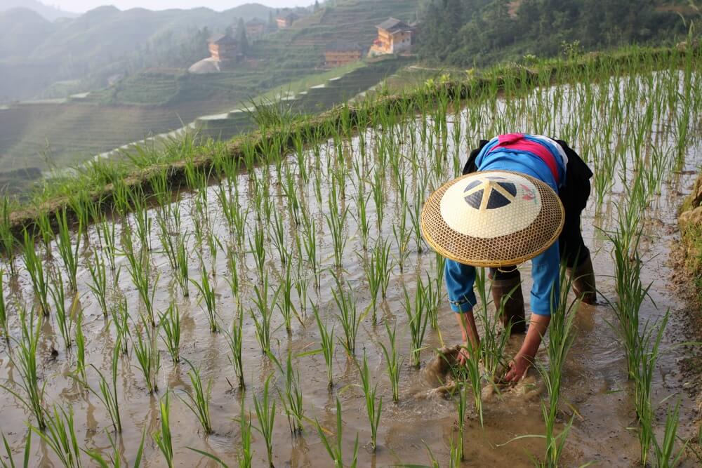 China Family Holidays - Travel with the Asia Family Specialists