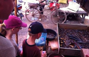 Cambodia family holidays - kids looking at eels in a street market