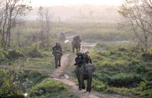 Places to visit in Nepal - Chitwan - Elephant trip