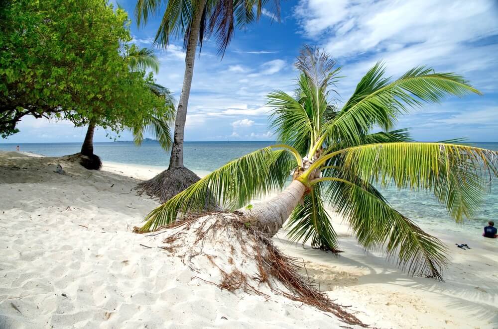 Selingan (Turtle) Island