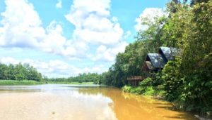 Borneo Natural Sukao Bilit Lodge - Where to stay in Borneo