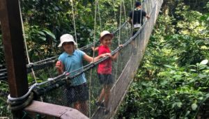 Places to visit in Borneo - Mulu Canopy Walkway
