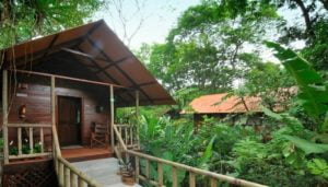Aninga Lodge - Where to stay in Costa Rica