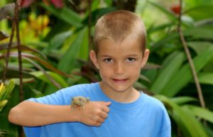 Boy with Gladiator Tree frog - Costa Rica family holidays
