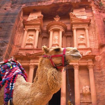 Jordan Family holidays - camel in front of Petra
