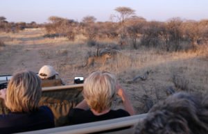 Namibia family holidays - family adventure holidays - kids on safari