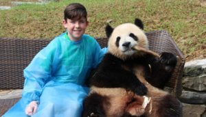 China family holidays - Chengdu Panda Research Centre