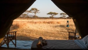 Kati Kati Tented Camp - Where to stay in Tanzania