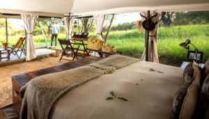 Serengeti Pioneer Camp - Where to stay in Tanzania