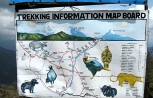 Hand painted trekking map in Annapurna region - Nepal family holidays