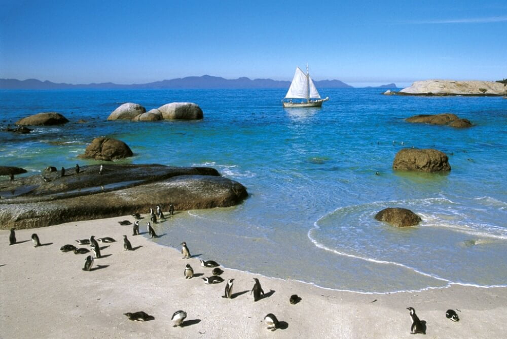 Boulders Beach, Cape Peninsula