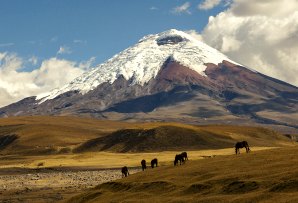Ecuador & Galapagos itineraries - Cotopaxi