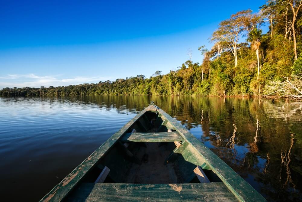 Amazon Rainforest, Peru