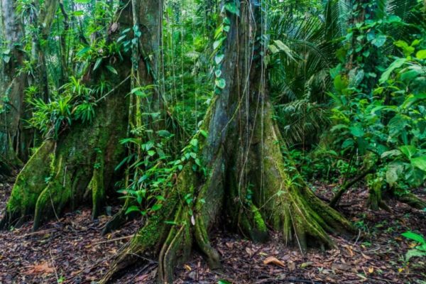 Places To Visit In Belize Stubborn Mule Travel Family Specialists Places To Visit In Belize Stubborn Mule Travel Family Specialists