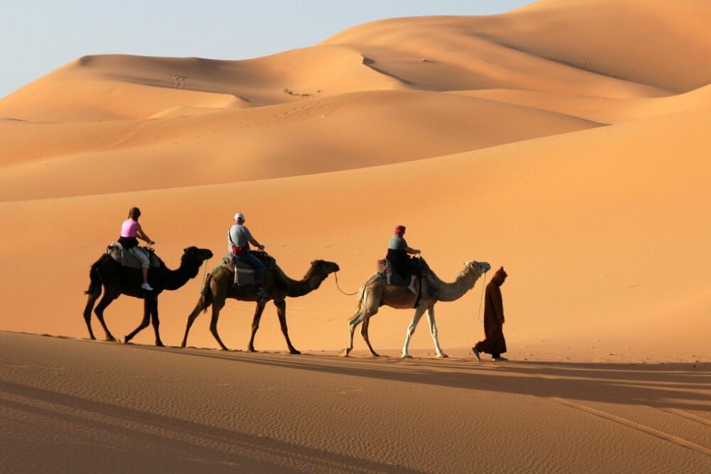 Camel trek, Sahara
