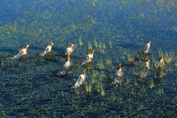 Botswana