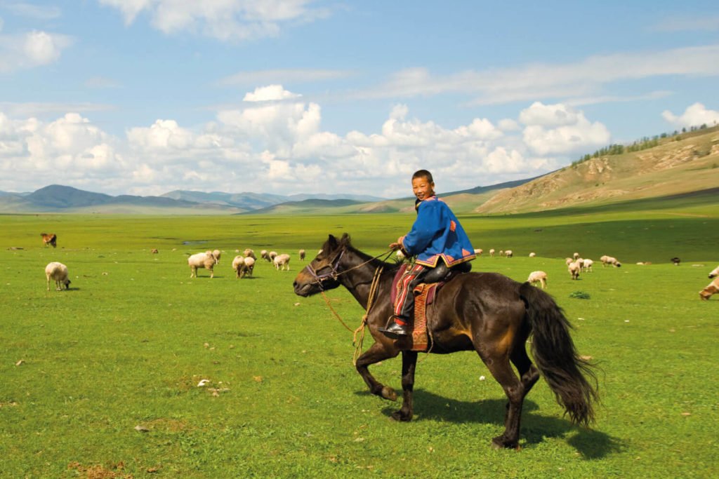 Mongolia family holidays with Stubborn Mule Travel