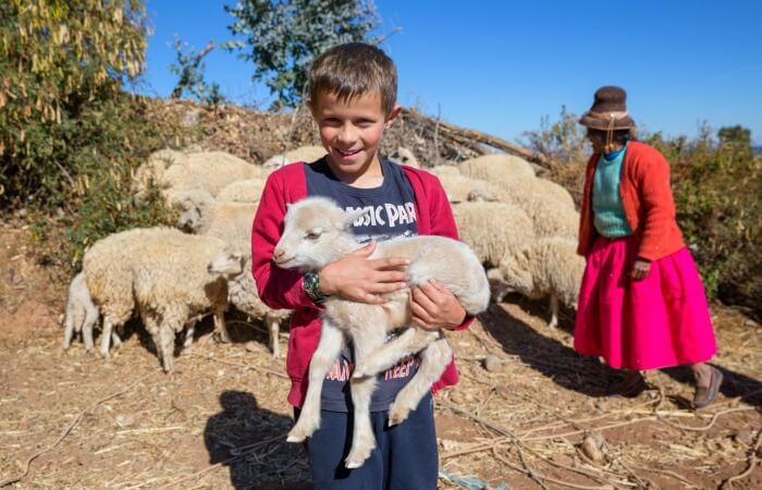 Peru family holiday - young boy on a home stay holding a lamb