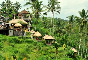 Bali Itineraries - rice terrace