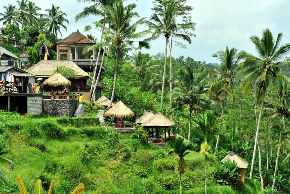 Bali family holidays - Tegallalang rice terraces, Ubud, Bali