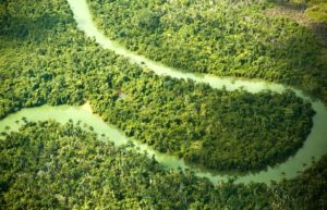2017 family holidays - aerial shot of the rainforest