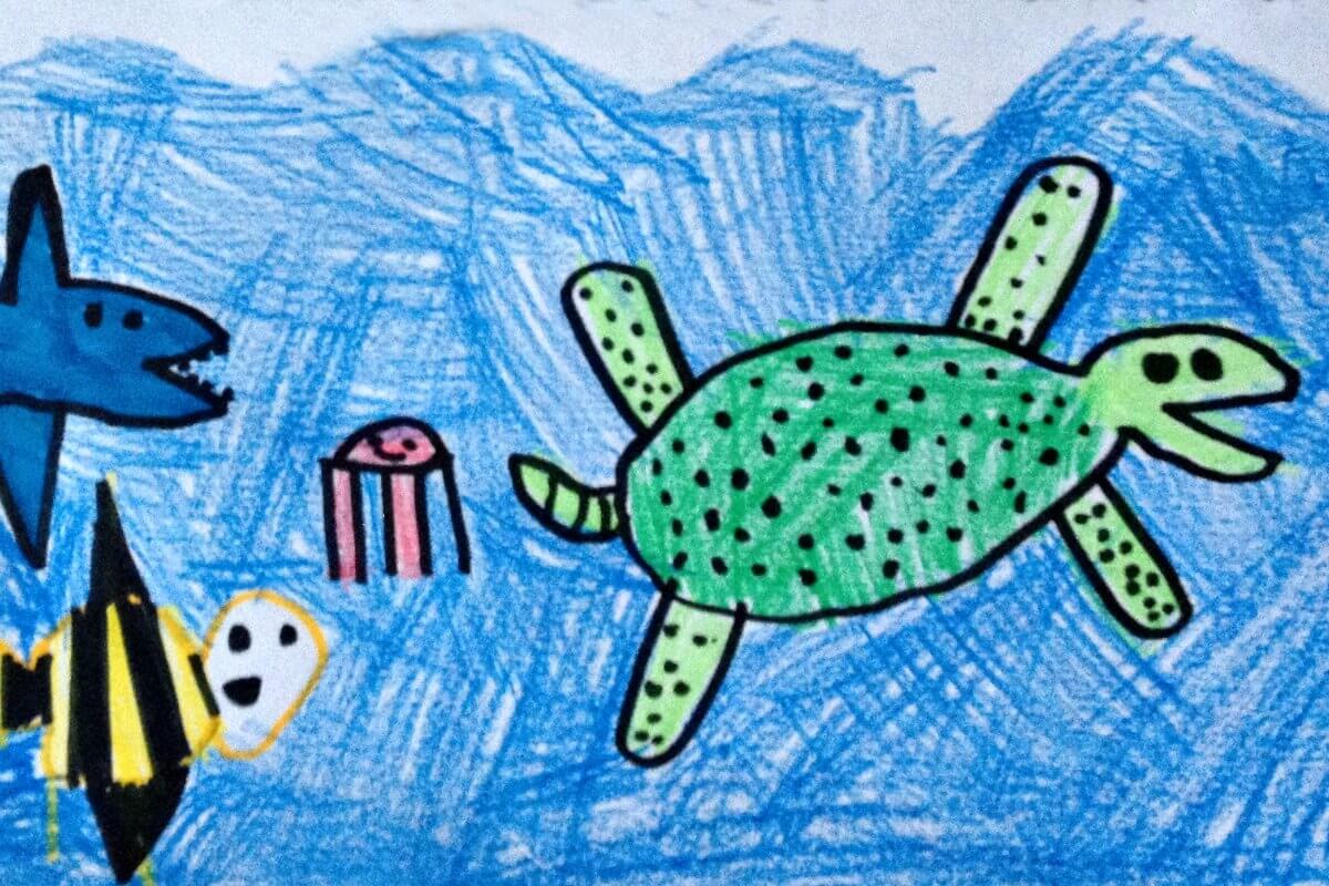 family travel blog - turtle and fish drawing