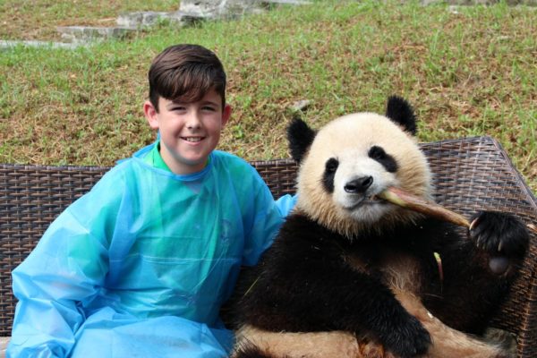 China family adventure holidays - panda meets a boy at a sanctuary