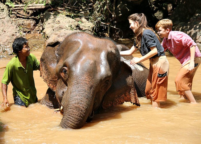 Bathing elephants in Burma on a long haul family holiday