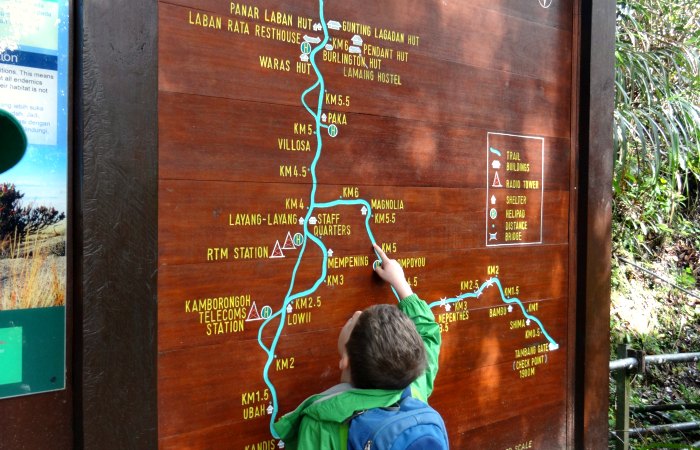 Young boy looking at trekking map - climbing Mount Kinabalu with kids