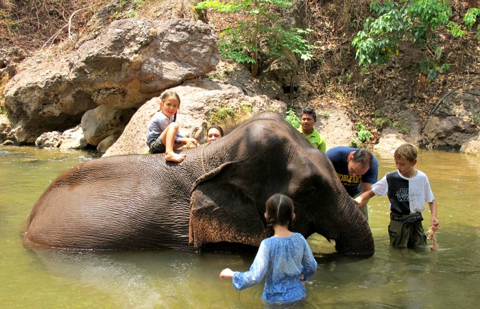washing elephants in a sanctuary in Burma on a family adventure holiday