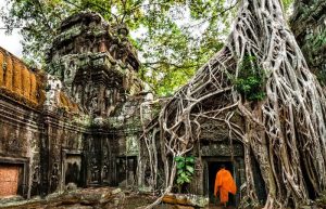 Ta Prohm temple - Cambodia photo blog