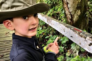 Borneo with kids - young boy pointing at a bright red caterpillar