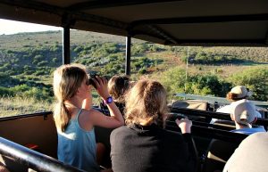 Kids looking through binoculars for game on a safari - safari diary