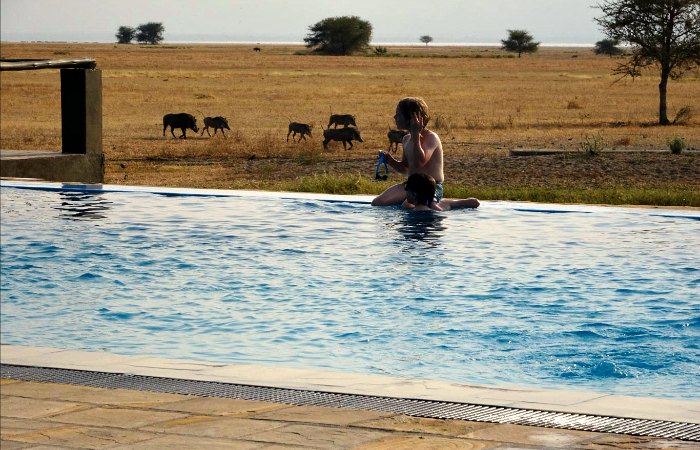 Kids playing in the pool on an African family safari holiday