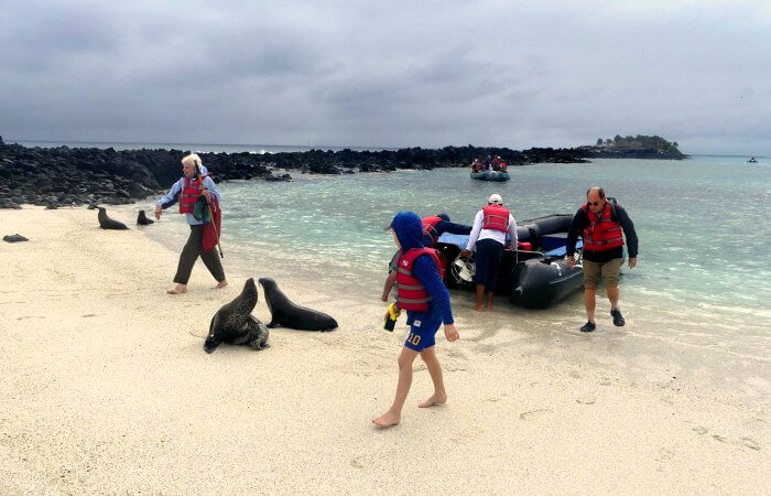 Panga landing on beach - Galapagos Island Cruise