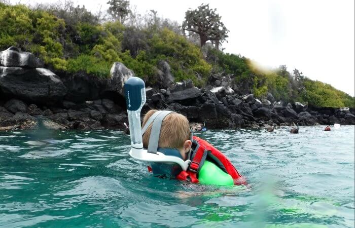 Young boy snorkelling on a Galapagos Islands cruise