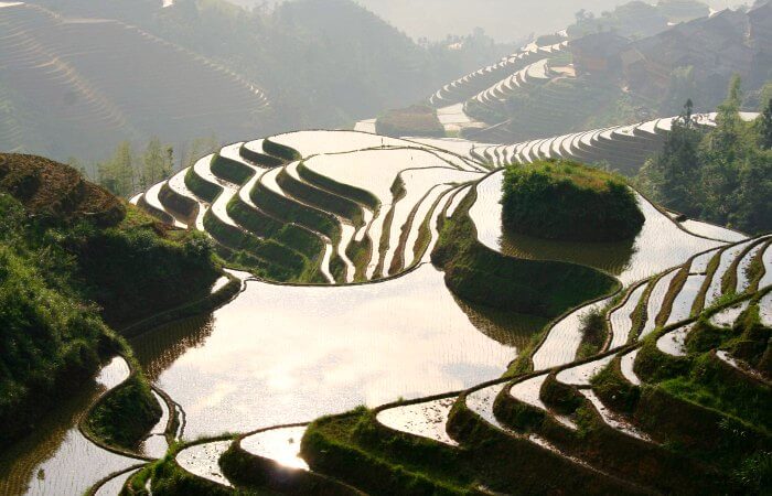 Traditional rice terraces - China with kids itinerary