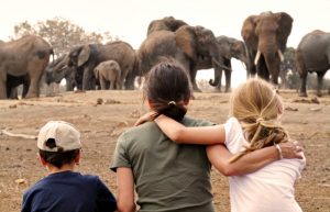 Mum and two children watching elephants on a family safari holiday