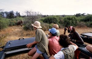Teenagers and kids on a family safari in Africa
