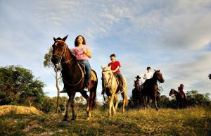 Horse riding in the Pantanal - holidays for families in Brazil