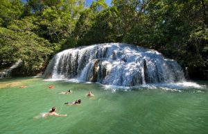 Bonito - swimming in waterfall - Brazil