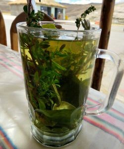Glass of coca tea - Peru