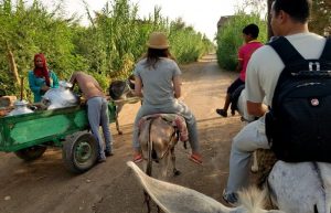 Donkey trip to Valley of the Kings - Egypt with kids itinerary
