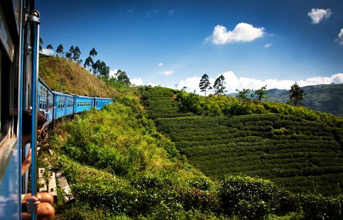 Train from Eliya to Kandy - Family budget holidays