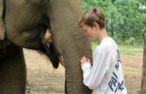 Nepal with kids - teenager helping to look after an elephant in the Chitwan sanctuary