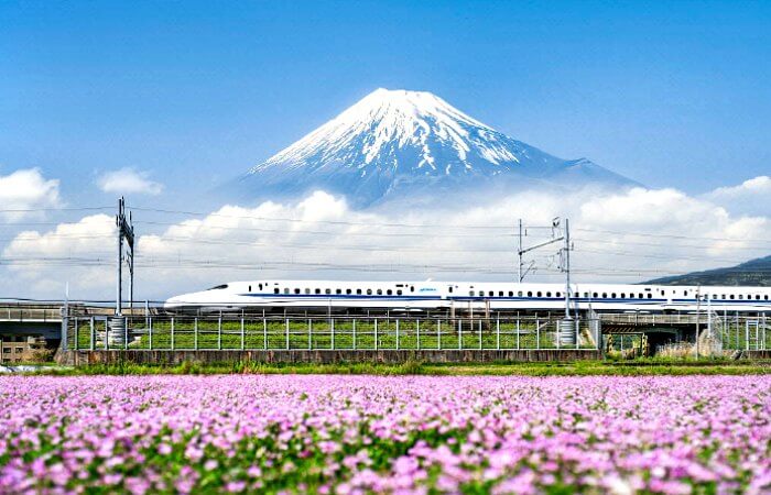 Bullet train with Mt Fuji in background - Japan with kids family itinerary