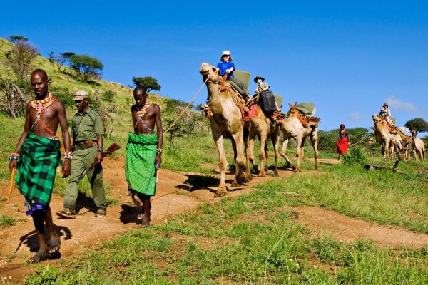Kids on a camel trek in Kenya on a family adventure holiday