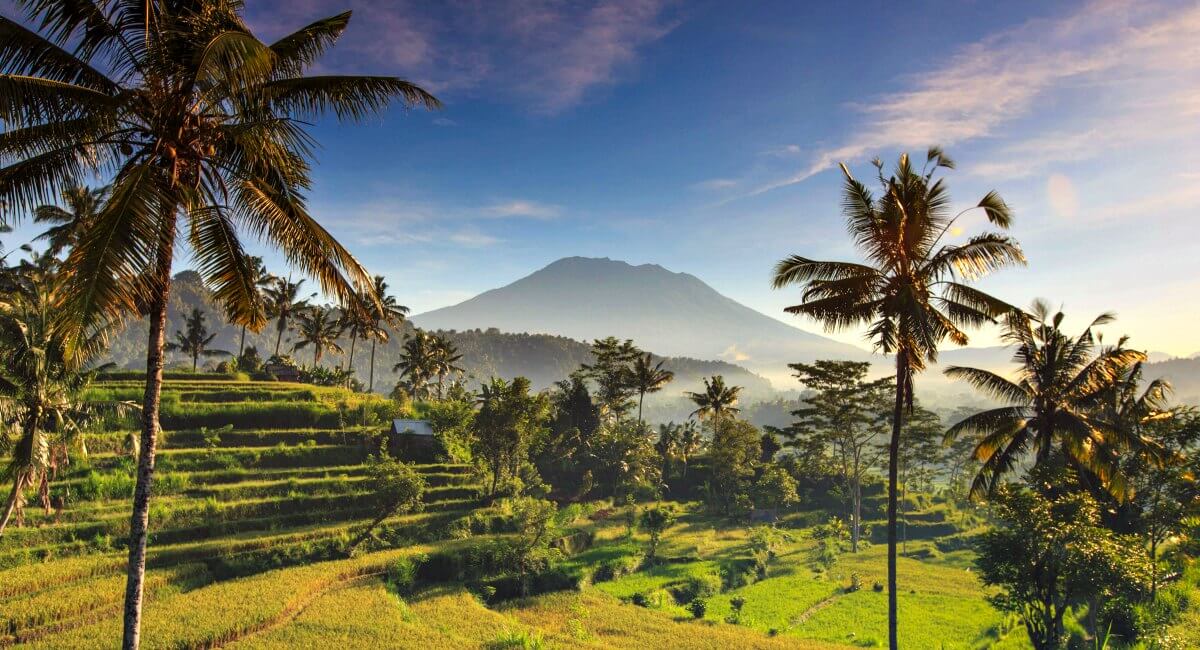 Scene in Bali - Indonesia - photos for the soul